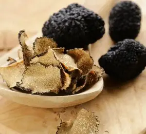 experience a Truffle Hunting in Tuscany Tour