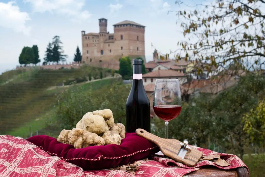 White truffle hunt alba